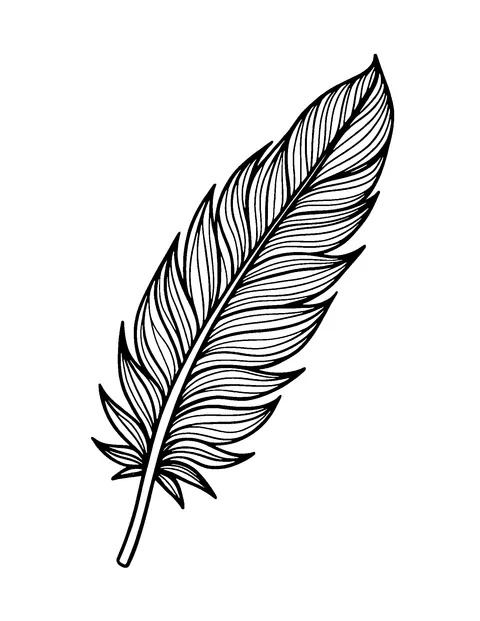 zentangle coloring page (adult)